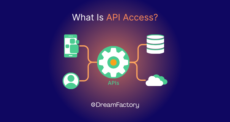 diagram showing what is api access