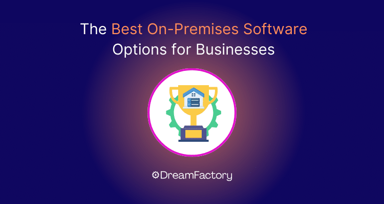 Diagram of the best on-premises software options