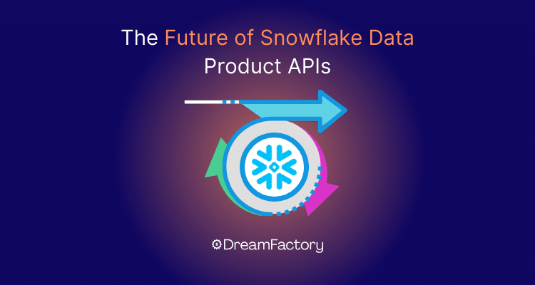 Diagram showing the Future of snowflake data product apis